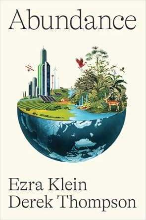 Abundance: Paperback – by Ezra Derek Klein Thompson
