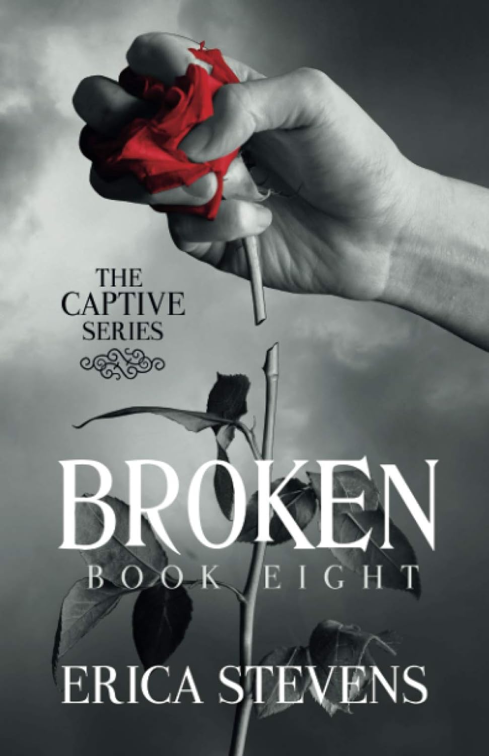 Broken ;-Paperback – by Erica Stevens