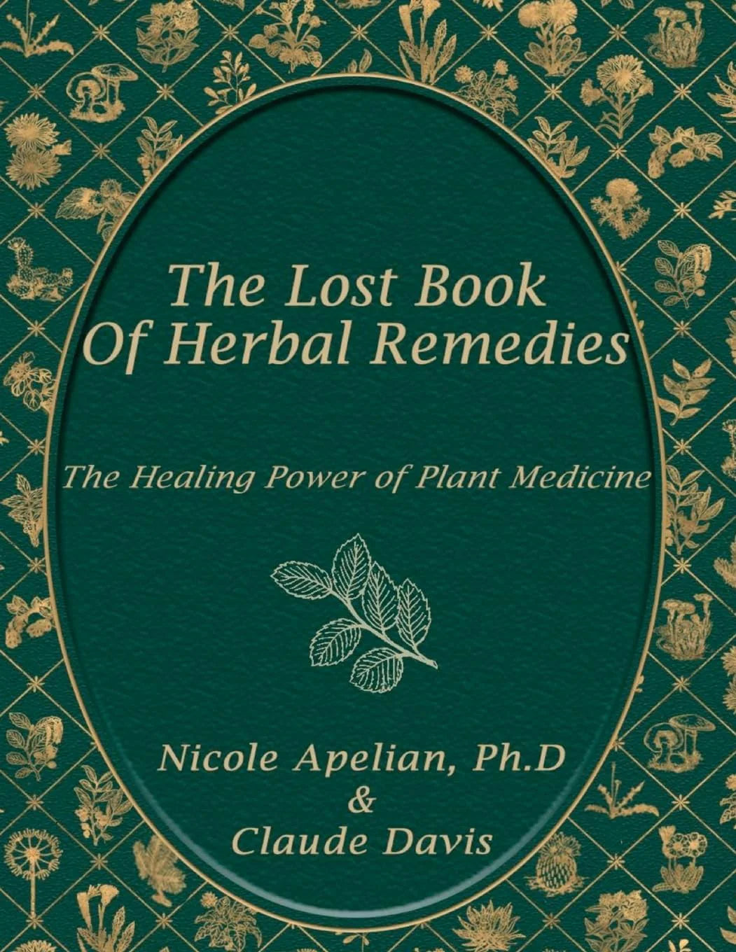 The Lost Book of Herbal Remedies - Paperback by Claude Davis
