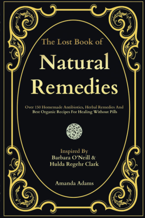 The Lost Book Of Natural Remedies: Over 150 Homemade Antibiotics, -Paperback by Amanda Adams