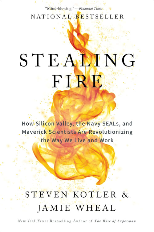 Stealing Fire: - by Steven Kotler | Paperback