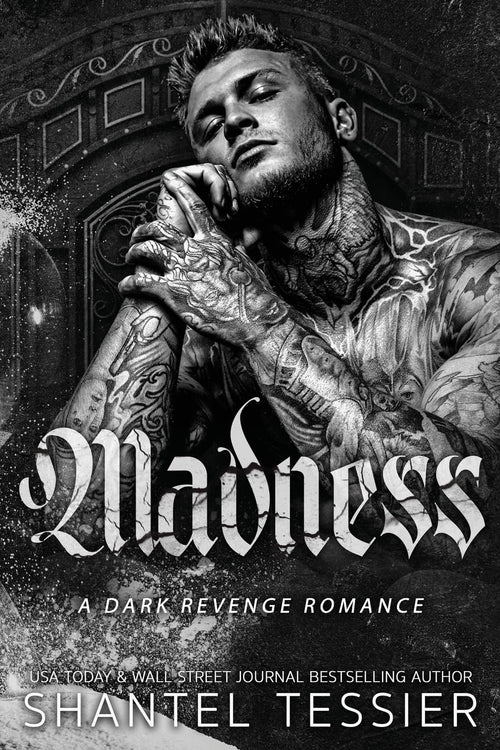 Madness - -Paperback by Shantel Tessier