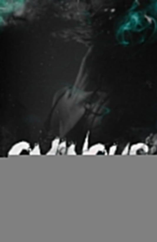 OMINOUS: Book II (Ecstasy) Paperback – by KV Rose